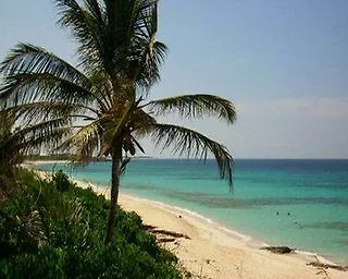 Oceanfrontier Vacation Club Hotel Great Guana Cay